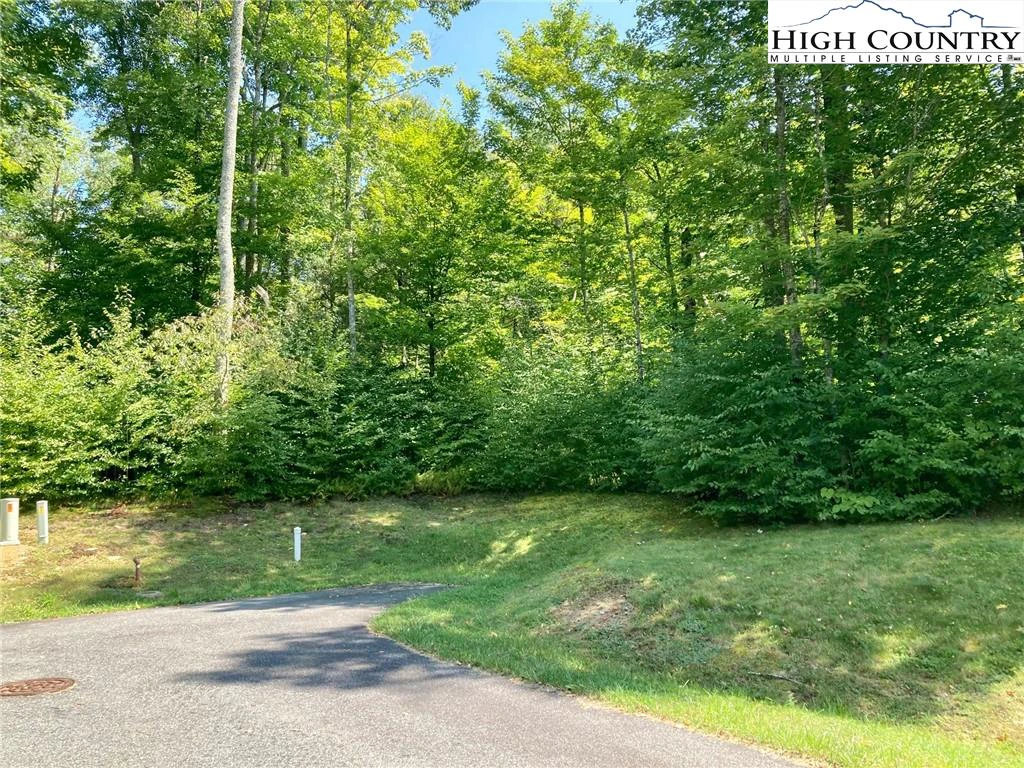 Image number 1 for the current listing