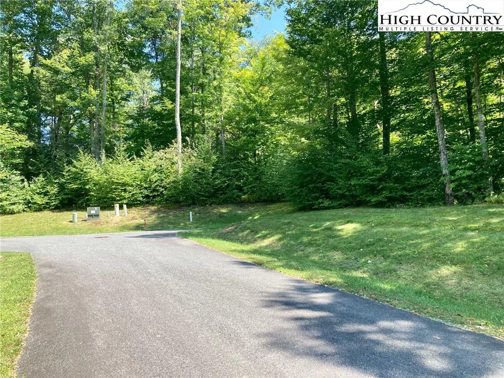 Image number 3 for the current listing
