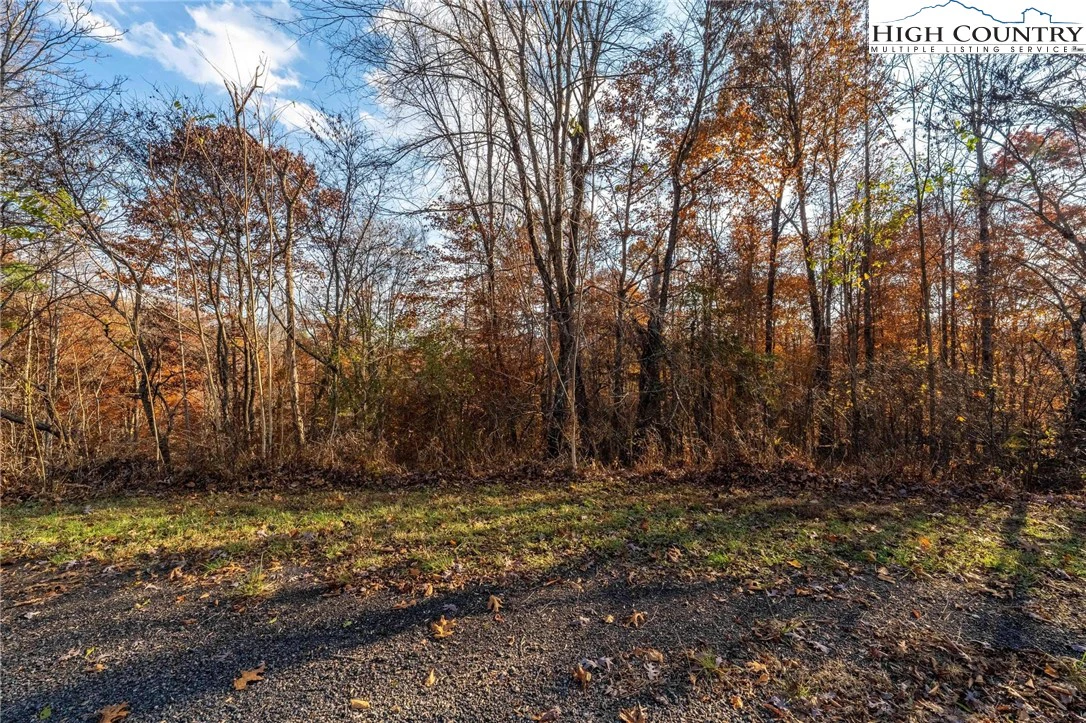 Image number 2 for the current listing