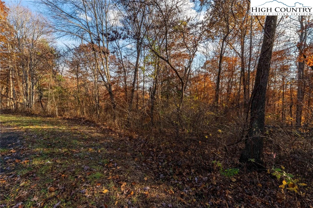 Image number 11 for the current listing