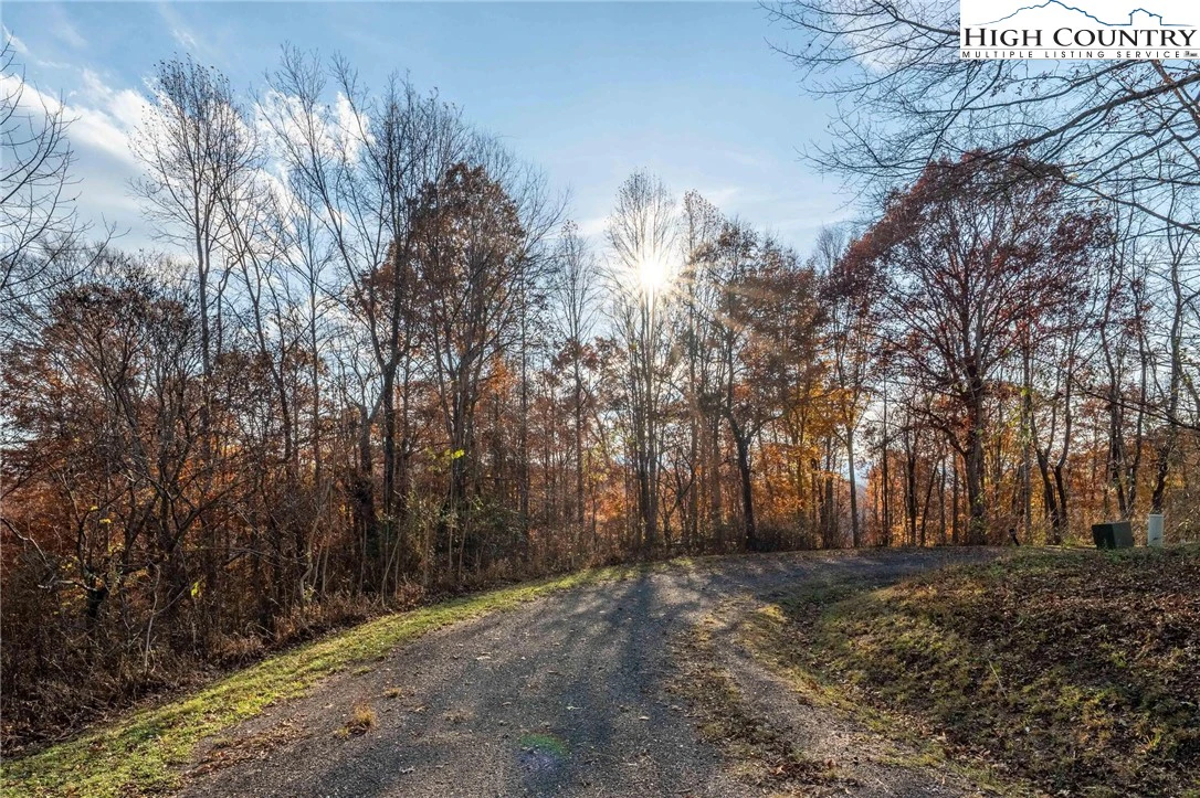 Image number 13 for the current listing
