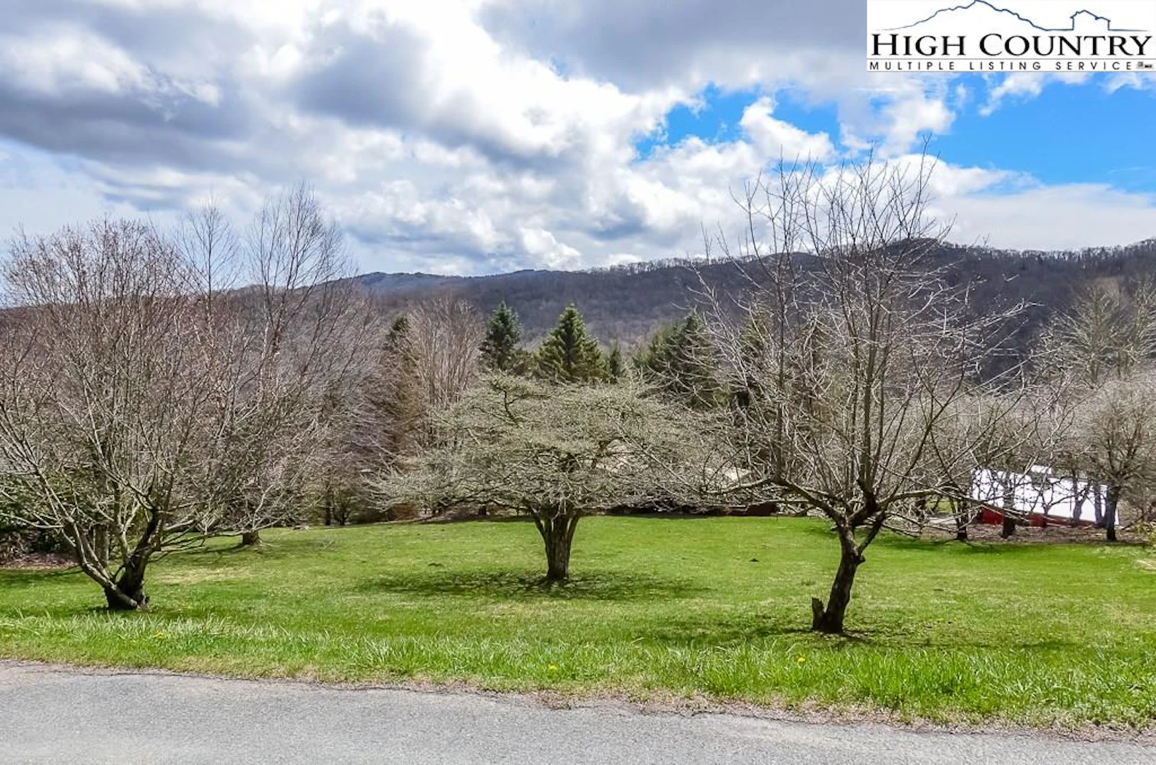 Image number 1 for the current listing