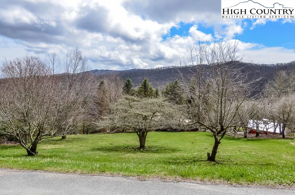 Image number 1 for the current listing