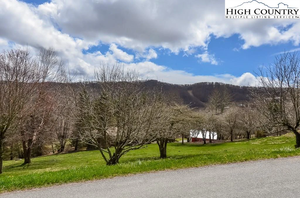 Image number 3 for the current listing