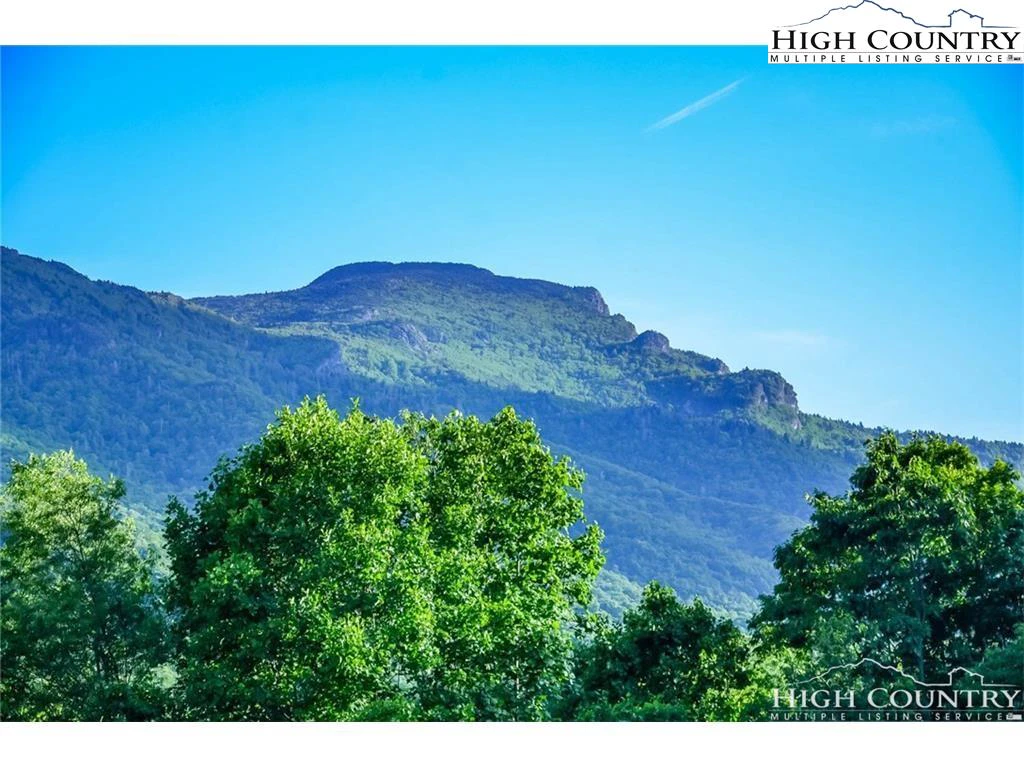 Image number 8 for the current listing