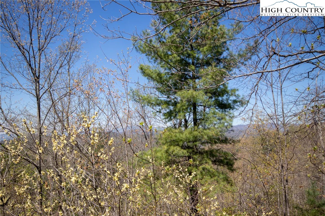 Image number 3 for the current listing