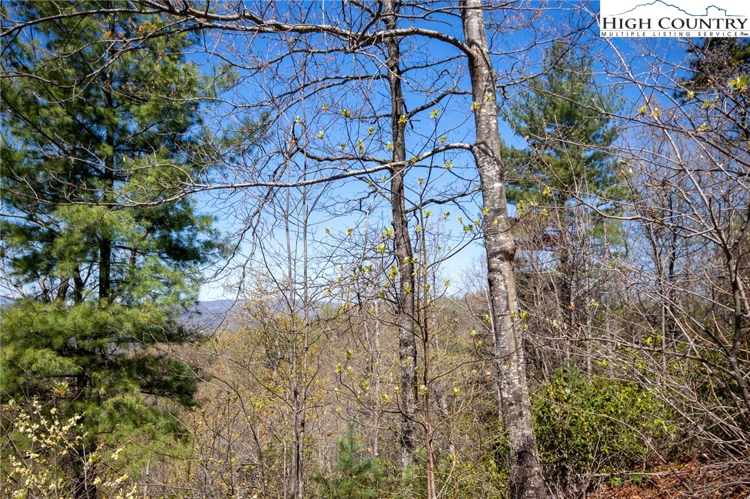 Image number 6 for the current listing