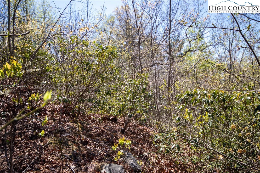 Image number 5 for the current listing
