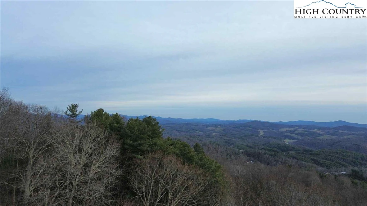 Image number 1 for the current listing