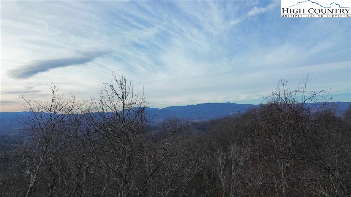 Image number 14 for the current listing