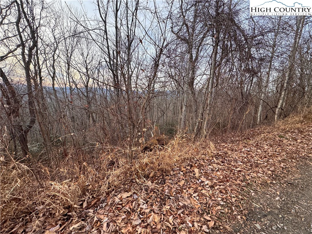 Image number 13 for the current listing