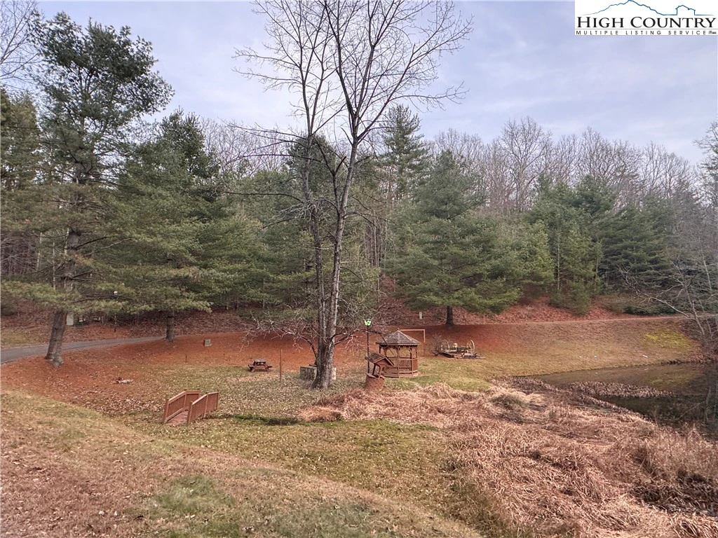 Image number 6 for the current listing