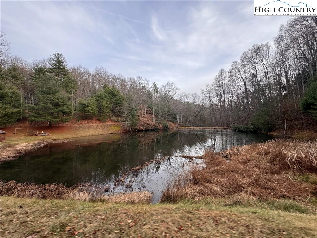 Image number 5 for the current listing