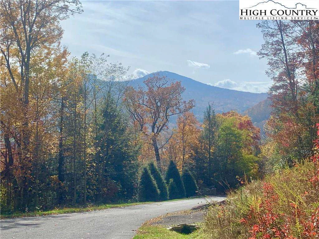 Image number 1 for the current listing