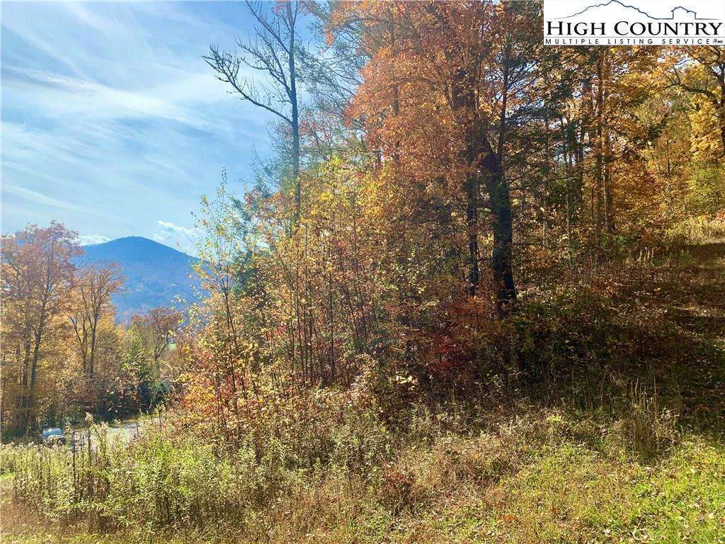 Image number 3 for the current listing