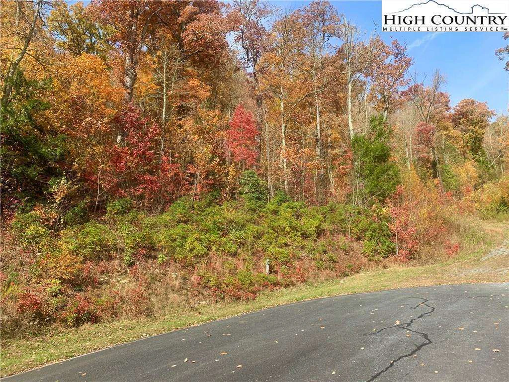Image number 4 for the current listing