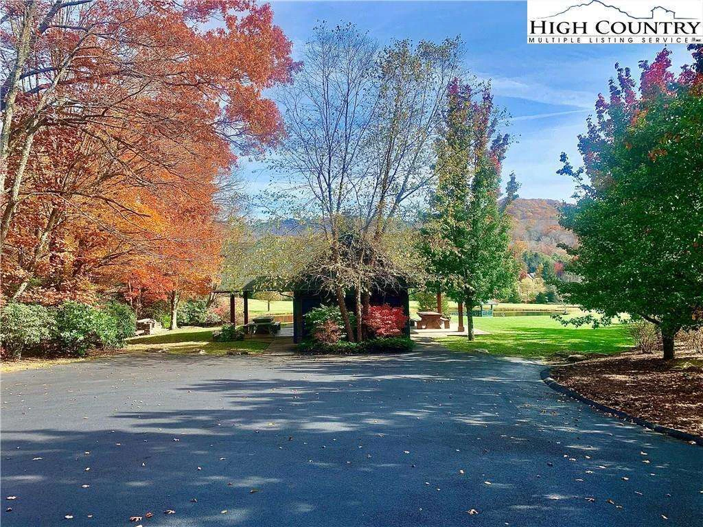 Image number 6 for the current listing