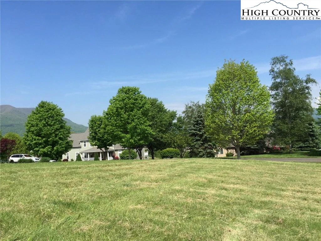 Image number 1 for the current listing