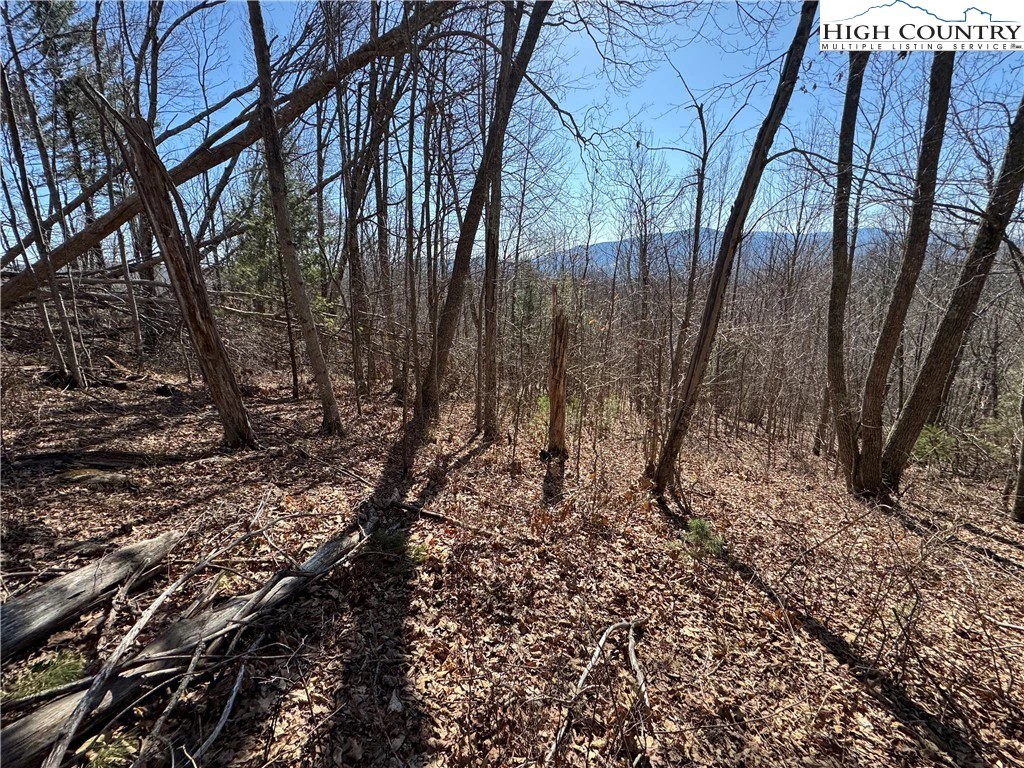 Image number 6 for the current listing