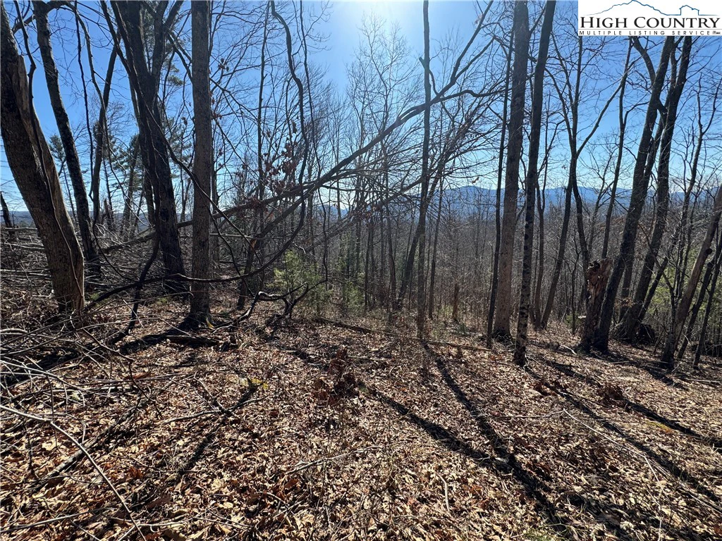 Image number 7 for the current listing