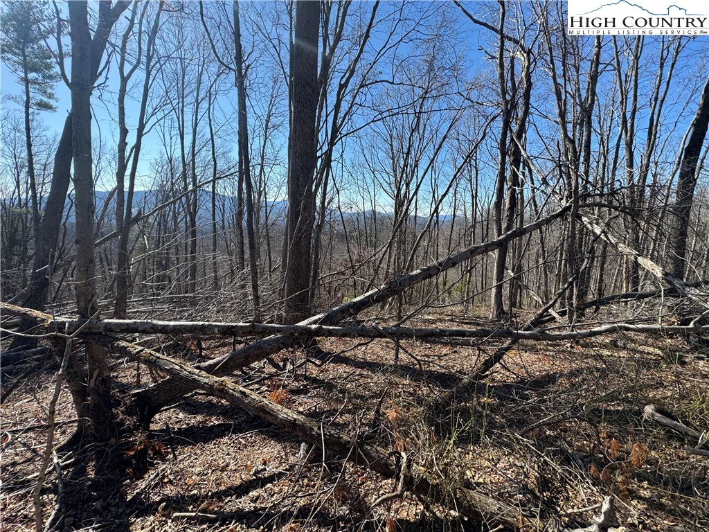 Image number 8 for the current listing