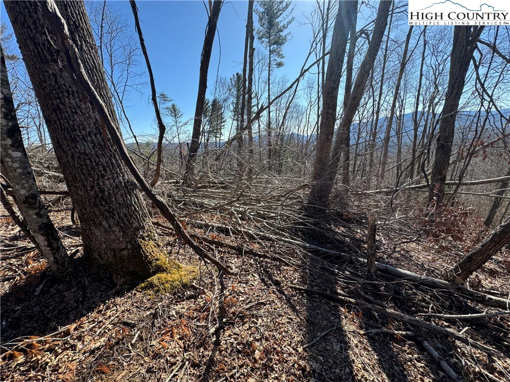 Image number 14 for the current listing
