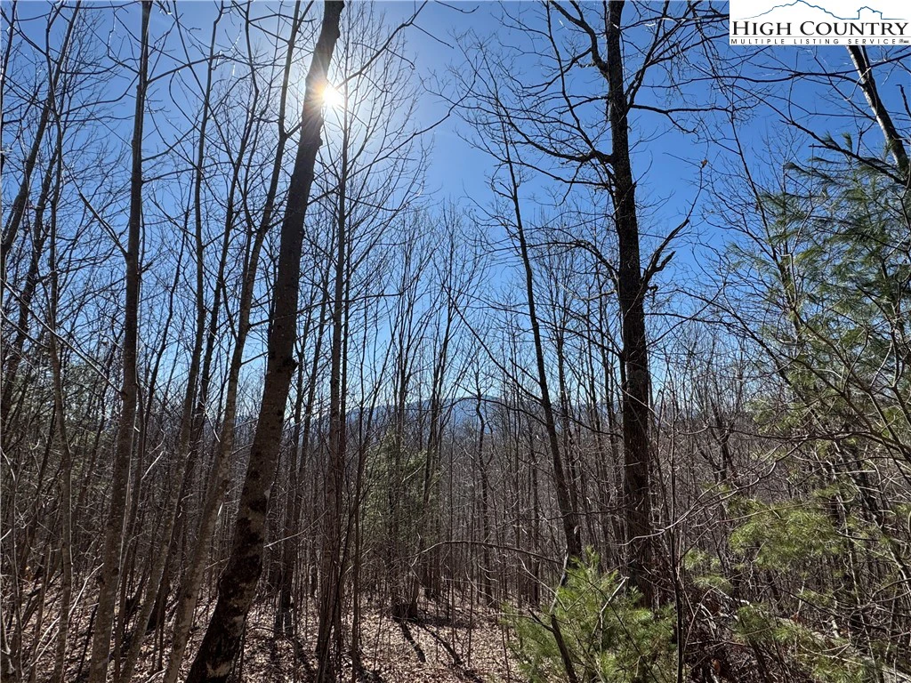 Image number 5 for the current listing