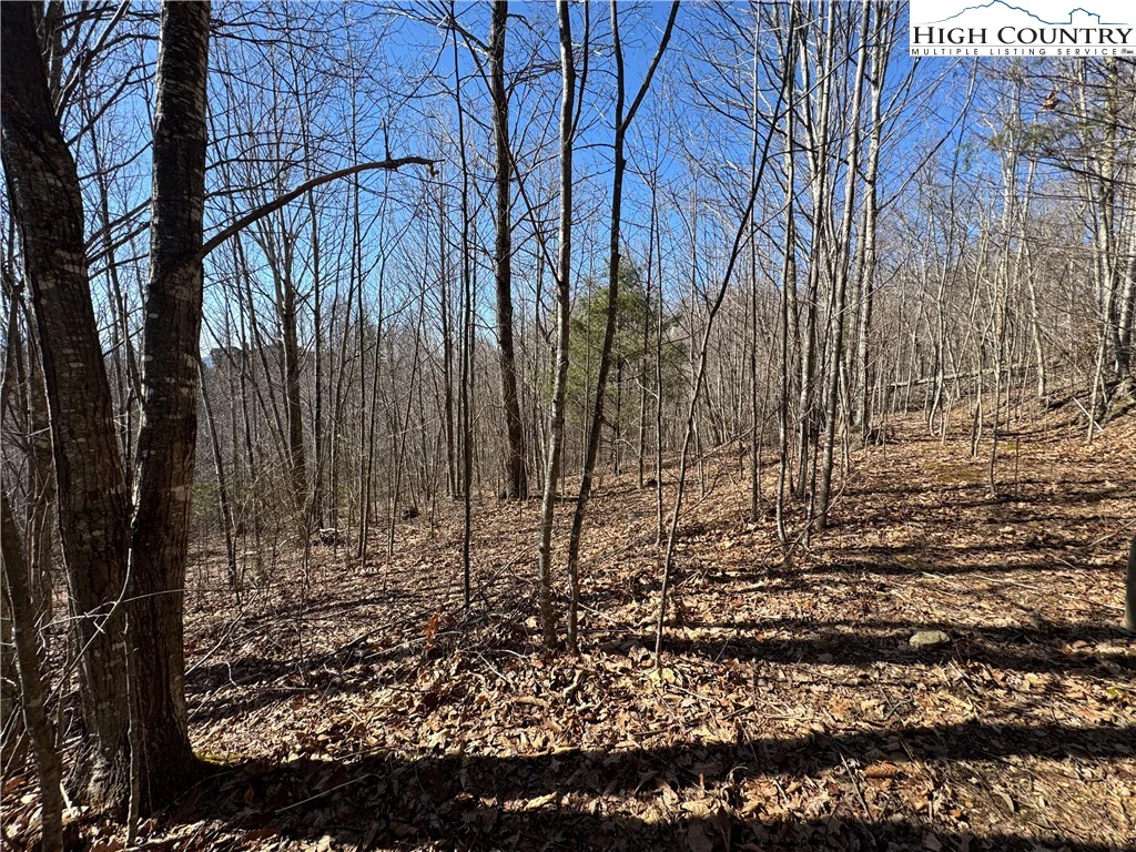Image number 13 for the current listing