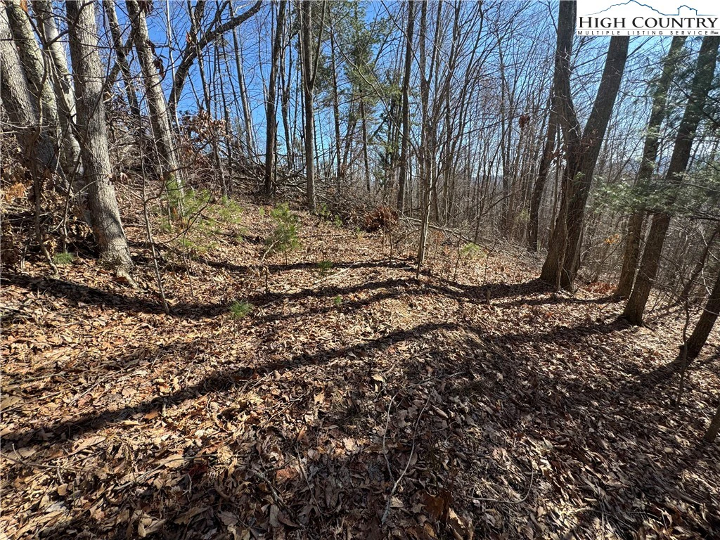 Image number 3 for the current listing