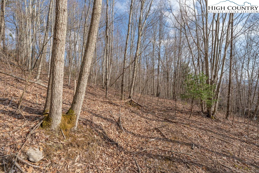 Image number 1 for the current listing