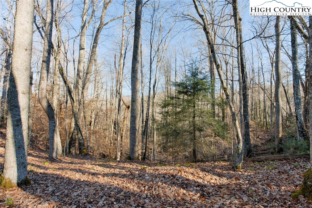 Image number 5 for the current listing