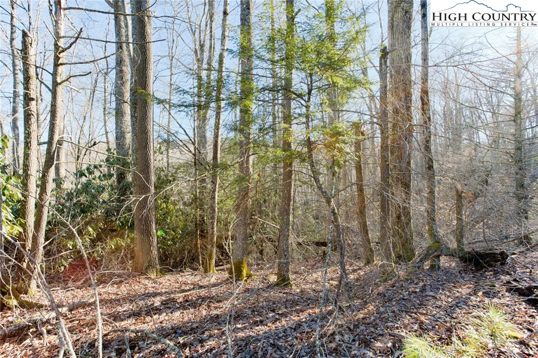 Image number 7 for the current listing