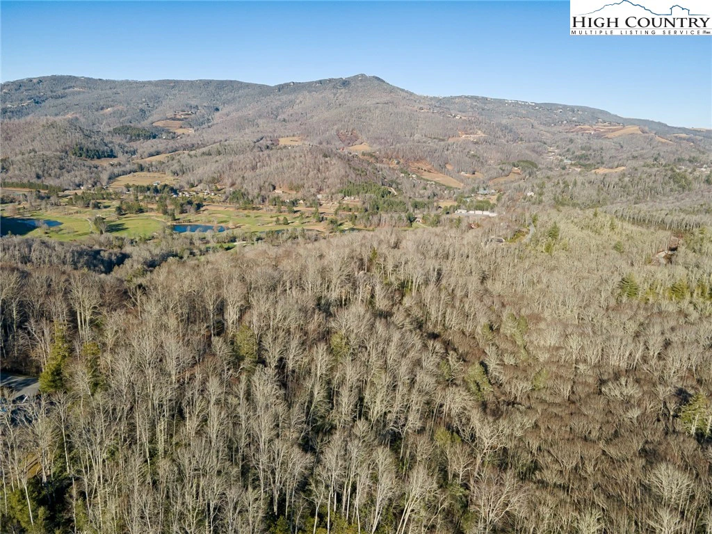 Image number 11 for the current listing