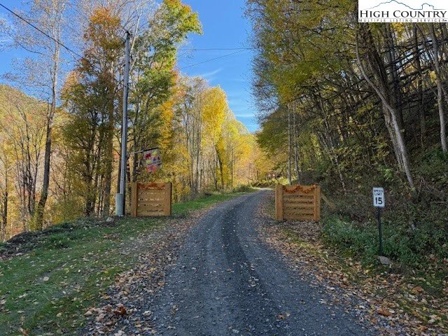 Image number 5 for the current listing
