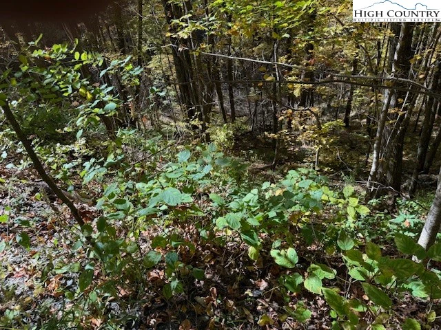 Image number 6 for the current listing