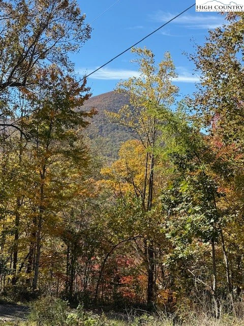 Image number 8 for the current listing
