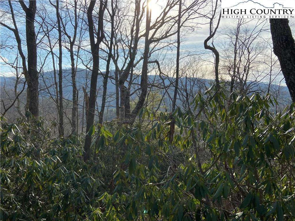 Image number 1 for the current listing