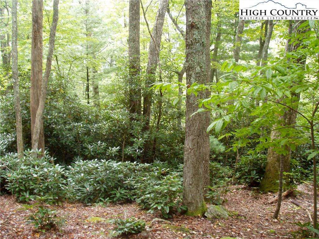 Image number 11 for the current listing