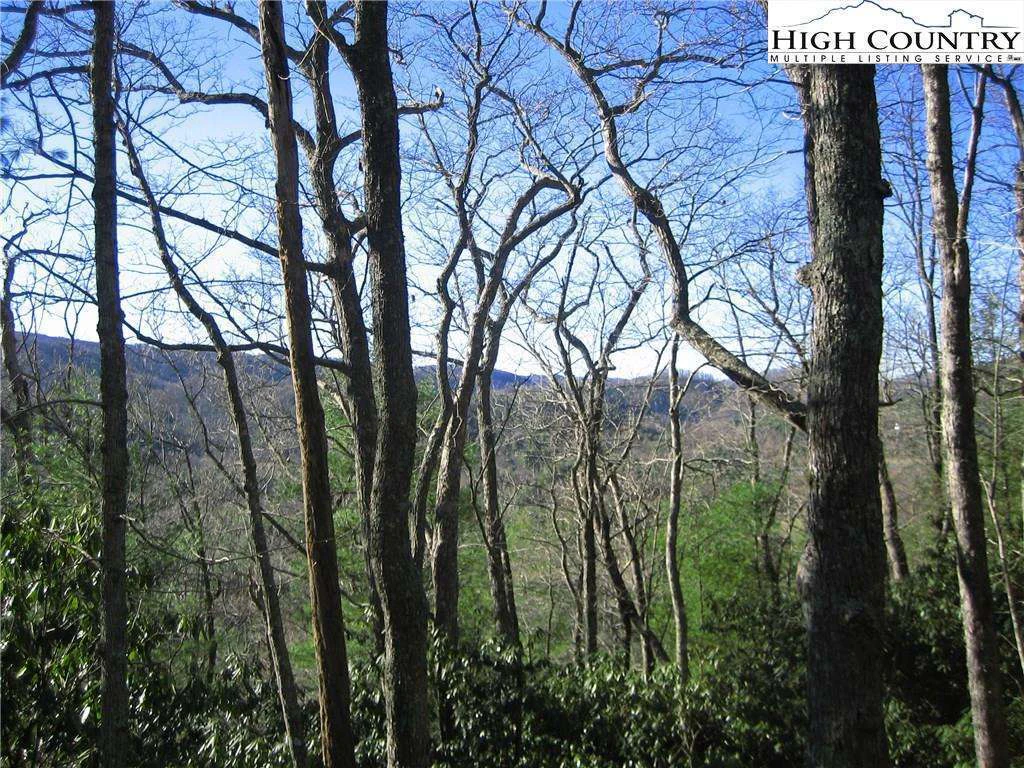 Image number 3 for the current listing