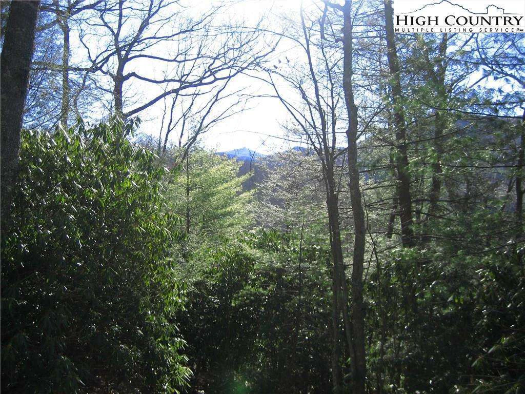 Image number 4 for the current listing