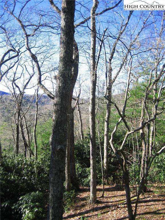 Image number 5 for the current listing