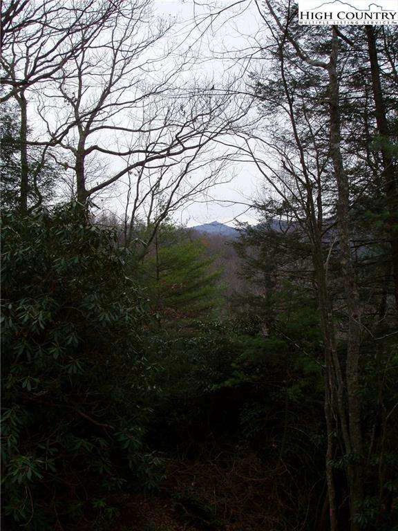 Image number 7 for the current listing