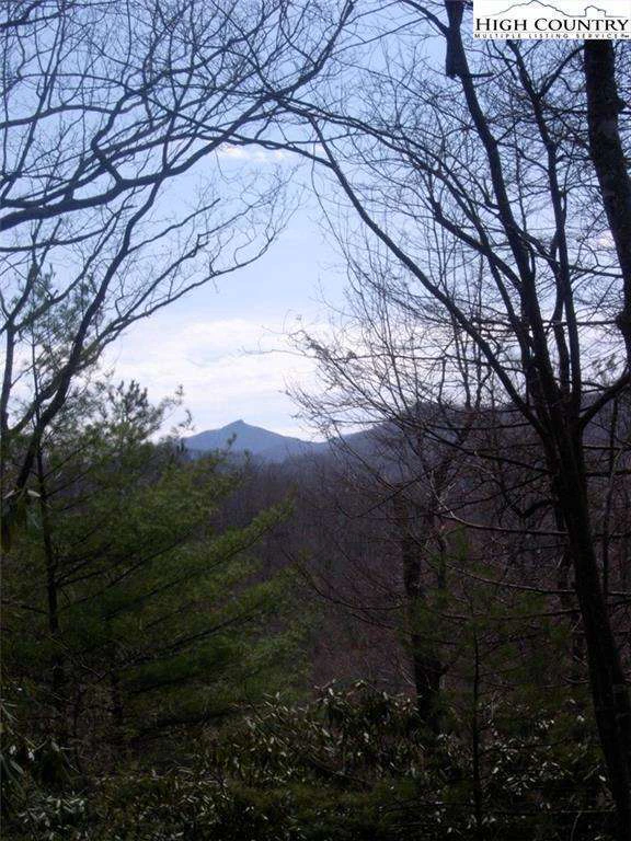 Image number 8 for the current listing