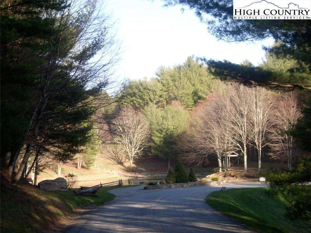 Image number 14 for the current listing