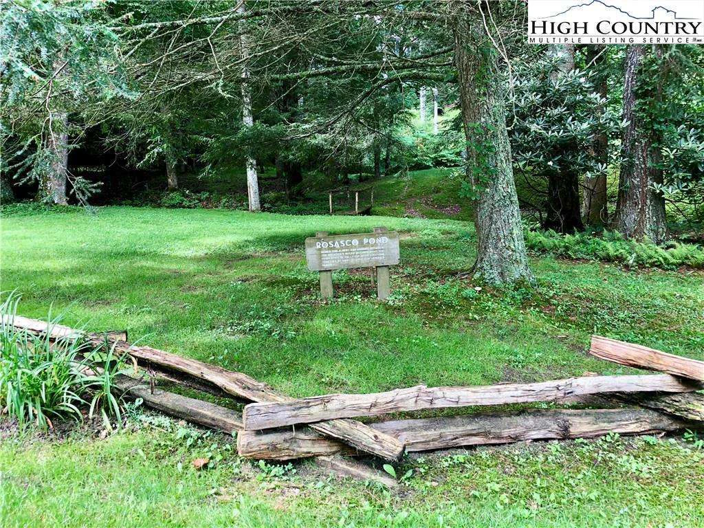 Image number 15 for the current listing