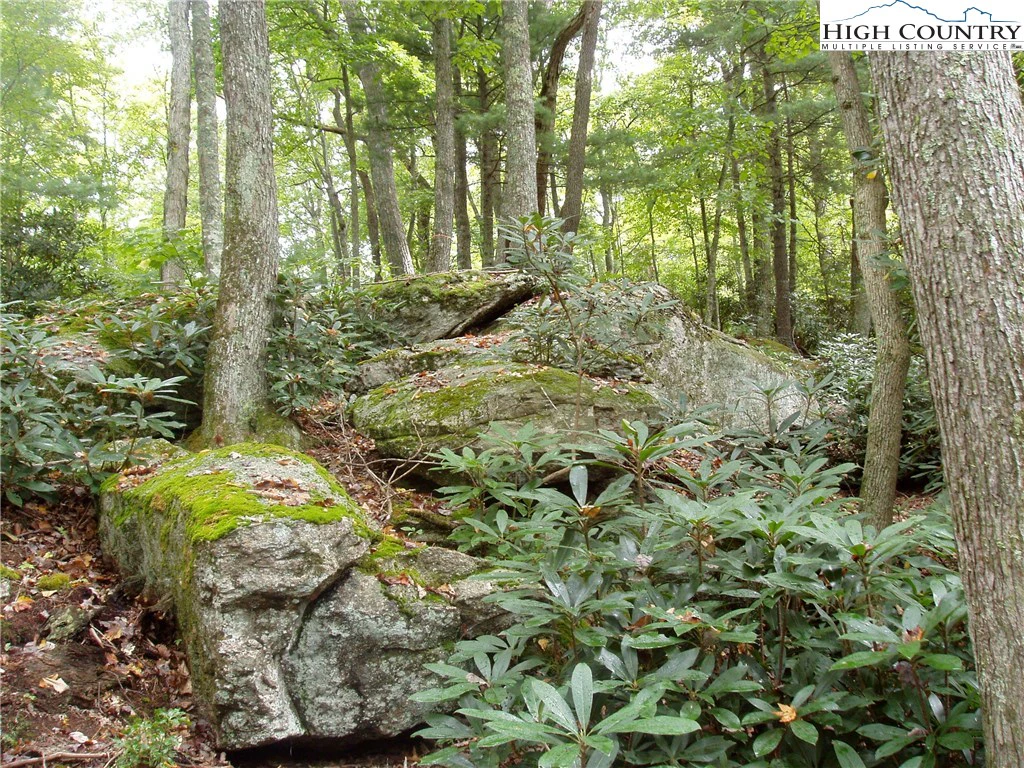 Image number 3 for the current listing