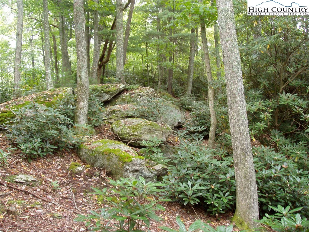 Image number 4 for the current listing