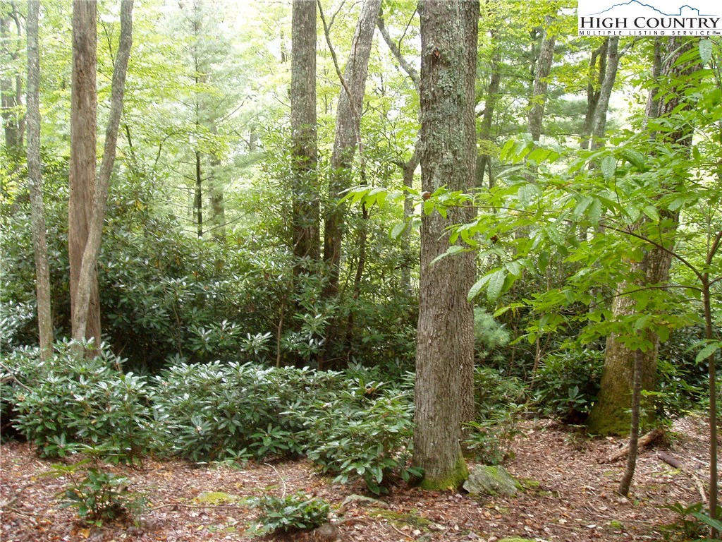 Image number 5 for the current listing