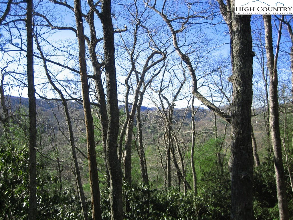 Image number 7 for the current listing