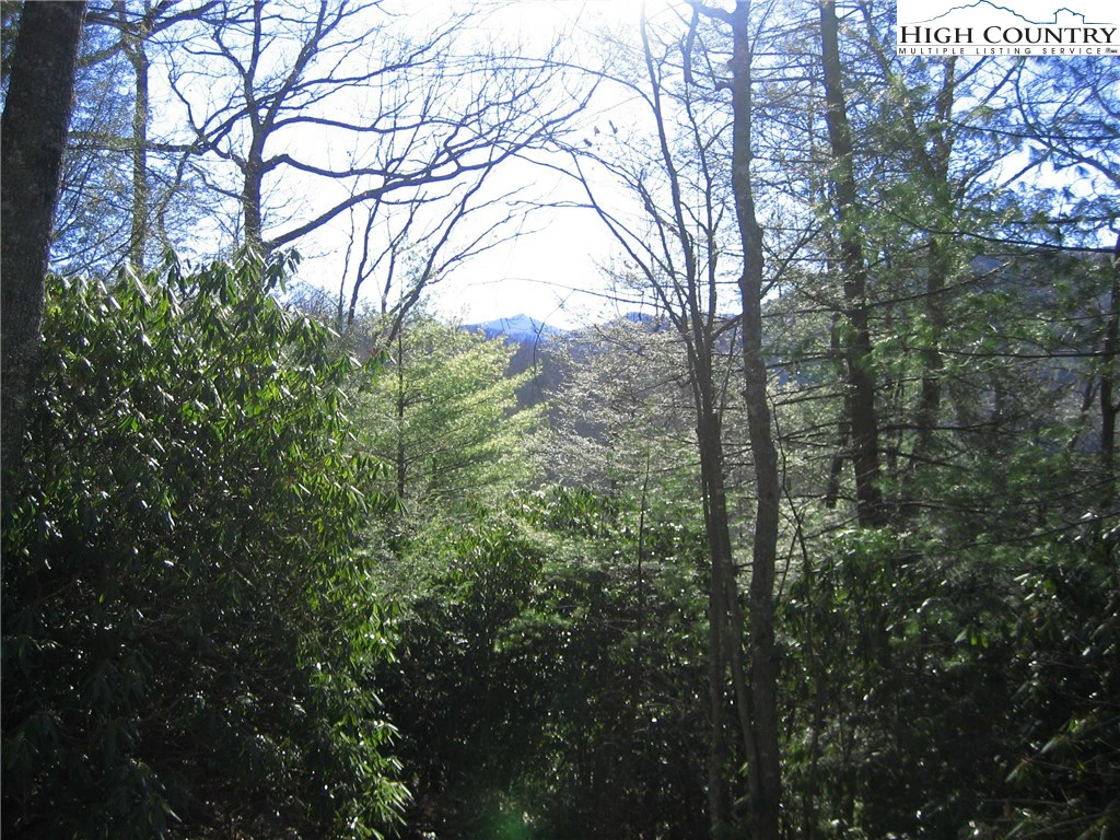 Image number 8 for the current listing